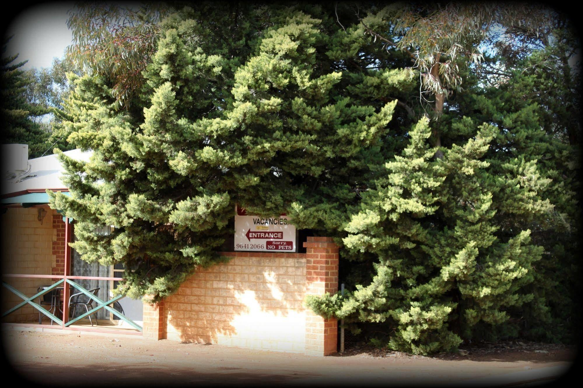 York'S Boutique Motel Εξωτερικό φωτογραφία
